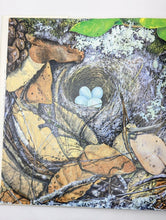 Load image into Gallery viewer, Bird Egg Feather Nest by Maryjo Koch Hardcover National Audubon Society Art Book
