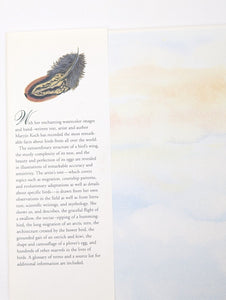 Bird Egg Feather Nest by Maryjo Koch Hardcover National Audubon Society Art Book