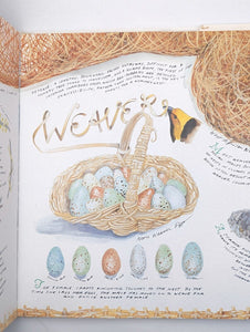 Bird Egg Feather Nest by Maryjo Koch Hardcover National Audubon Society Art Book