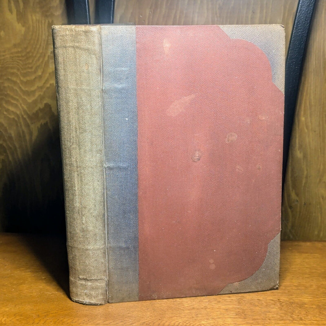 Appleton's Journal Lit Magazine Issues July-December 1876 Collection Bound Book