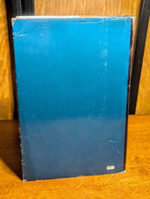 Load image into Gallery viewer, Suncross Sun-Cross Omnibus Barbara Hambly Rainbow Abyss Magician Night Hardcover
