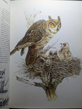 Load image into Gallery viewer, Character Sketches Volume 1 From Pages Bible Scripture Illustrated World Nature
