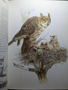 Character Sketches Volume 1 From Pages Bible Scripture Illustrated World Nature