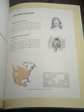 Load image into Gallery viewer, Character Sketches Volume 1 From Pages Bible Scripture Illustrated World Nature
