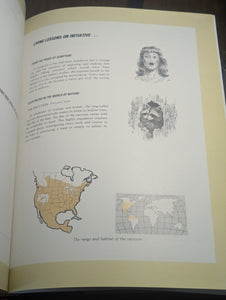 Character Sketches Volume 1 From Pages Bible Scripture Illustrated World Nature