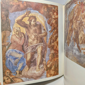 Michelangelo Artist Painter Coffee Table Book The Color Colour Library of Art
