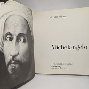 Michelangelo Artist Painter Coffee Table Book The Color Colour Library of Art