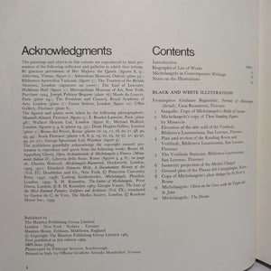 Michelangelo Artist Painter Coffee Table Book The Color Colour Library of Art