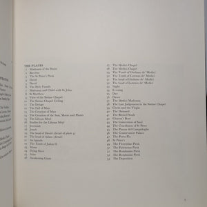 Michelangelo Artist Painter Coffee Table Book The Color Colour Library of Art
