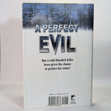 Load image into Gallery viewer, Alex Kava Maggie O&#39;Dell ODell Series Novels Book Lot A Necessary Perfect Evil
