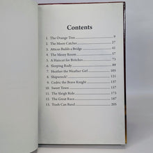 Load image into Gallery viewer, All About Reading Level 3 Volume 2 Homeschool Reader Shipwreck! Used Story Book
