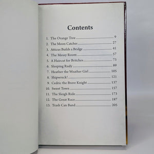 All About Reading Level 3 Volume 2 Homeschool Reader Shipwreck! Used Story Book