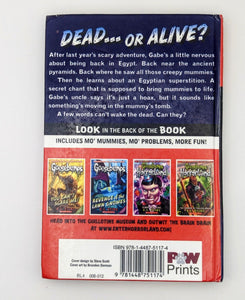 Goosebumps Return Of The Mummy Library Binding Bound Hardcover 1st Edition Stine