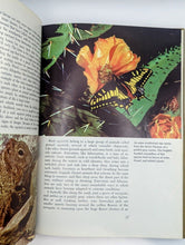 Load image into Gallery viewer, Our Living World Of Nature 10 Outdoors Books Vintage Lot Set 1966
