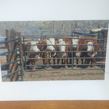 Load image into Gallery viewer, Brandings Another Visit To The Vukonich Western Ranch Gary L Temple Photography
