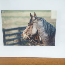 Load image into Gallery viewer, Brandings Another Visit To The Vukonich Western Ranch Gary L Temple Photography
