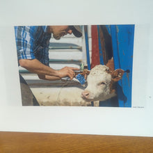 Load image into Gallery viewer, Brandings Another Visit To The Vukonich Western Ranch Gary L Temple Photography
