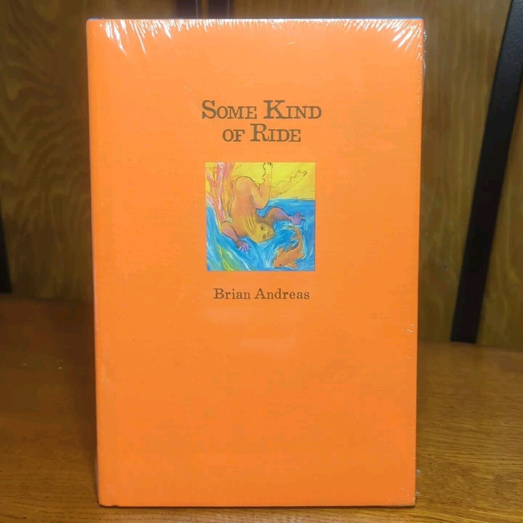 Some Kind of Ride Stories and Drawings Brian Andreas Story People Artist Book