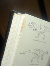 Load image into Gallery viewer, Lost World Michael Crichton 1st First Edition Printing Hardcover Jurassic Park
