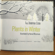 Load image into Gallery viewer, Plants In Winter Joanna Cole Vintage Kids Nature Lets Read Find Out Science Book

