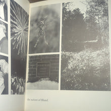 Load image into Gallery viewer, 1977 Statesman Richard Bland Community College Yearbook William &amp; Mary Virginia
