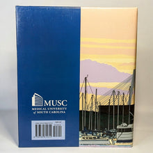 Load image into Gallery viewer, Art Of Healthy Cooking Medical University South Carolina MUSC RARE Cookbook
