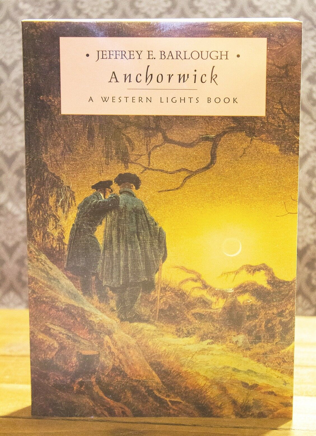 Anchorwick The Western Lights Series Book 5 by Jeffrey E Barlough Paperback NEW
