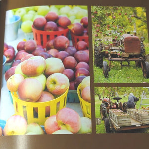 Farmers Market Desserts Fresh Fruit Recipes Pies Cake Sustainable Cookbook
