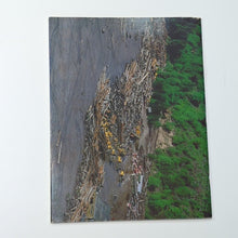 Load image into Gallery viewer, Mt Mount St Saint Helens Holocaust A Diary Of Destruction Vintage Photos Book
