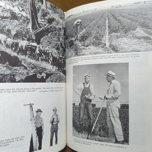 Beckoning The Bold Story Of Dawning Of Idaho State Western US History Rafe Gibbs