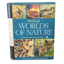 Load image into Gallery viewer, Walt Disney&#39;s Worlds Of Nature Vintage Animals Golden Press Book 1962 Hardcover
