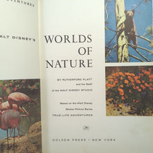 Load image into Gallery viewer, Walt Disney&#39;s Worlds Of Nature Vintage Animals Golden Press Book 1962 Hardcover
