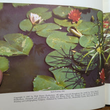 Load image into Gallery viewer, Walt Disney&#39;s Worlds Of Nature Vintage Animals Golden Press Book 1962 Hardcover
