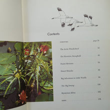 Load image into Gallery viewer, Walt Disney&#39;s Worlds Of Nature Vintage Animals Golden Press Book 1962 Hardcover
