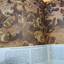 Load image into Gallery viewer, Walt Disney&#39;s Worlds Of Nature Vintage Animals Golden Press Book 1962 Hardcover
