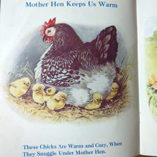 Load image into Gallery viewer, Baby Chickies 1940s Sam&#39;l Gabriel Sons No 445 Vintage Chicken Kid Linenette Book
