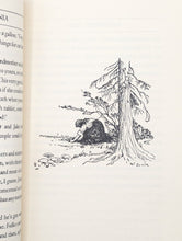Load image into Gallery viewer, My Antonia By Willa Cather Vintage 1950s Paperback Rare Sentry Edition SE 7 PB
