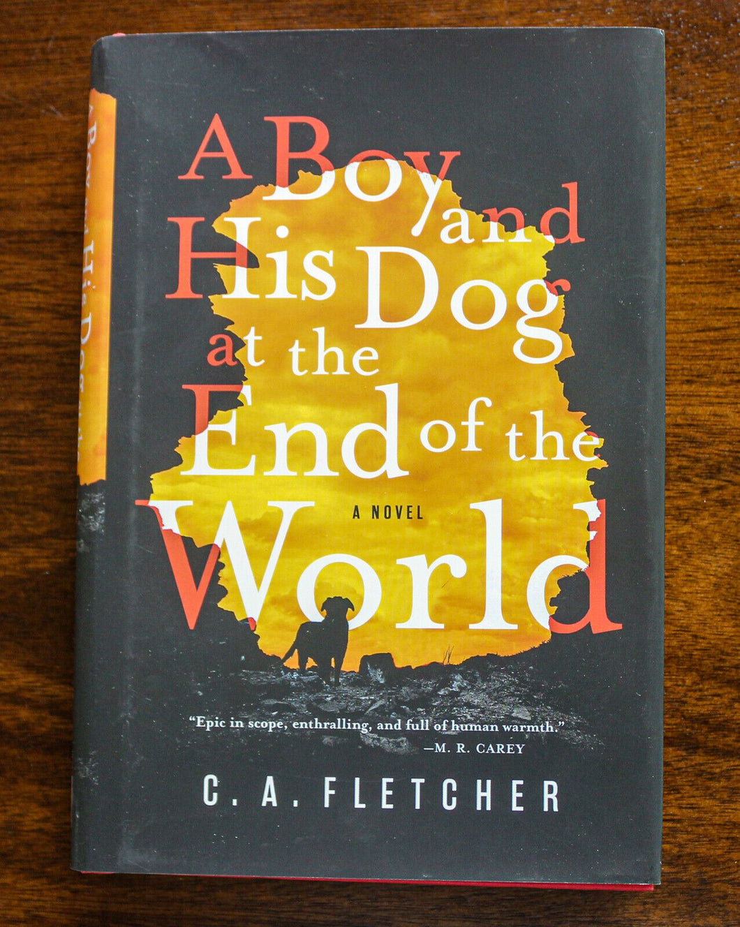 A Boy and His Dog at the End of the World by CA C. A. Fletcher 1st First Edition