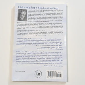 Catholic Boy Blues : A Poet's Journal of Healing by Norbert Krapf (2015,...