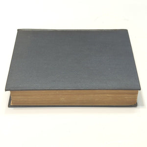 The Green Hat By Michael Arlen First Edition 1924 Vintage Novel Hardcover Book