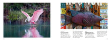 Load image into Gallery viewer, Visual Explorer Guide Florida State Photos Pictures Mini Coffee Table Book
