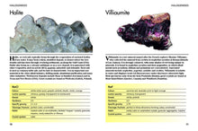 Load image into Gallery viewer, Minerals and Gemstones Crystals Rocks Mini Encyclopedia Guidebook Guide Book
