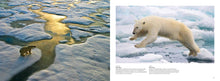 Load image into Gallery viewer, Arctic Circle North Pole Nature Coffee Table Book Art Photography Photos
