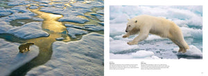 Arctic Circle North Pole Nature Coffee Table Book Art Photography Photos