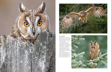 Load image into Gallery viewer, Birds of Prey Owls Eagle Nature Photos Pictures Photography Coffee Table Book
