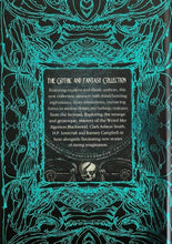 Load image into Gallery viewer, Weird Horror Short Stories Story Collection Gothic Fantasy Book M.R. MR James

