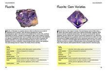 Load image into Gallery viewer, Minerals and Gemstones Crystals Rocks Mini Encyclopedia Guidebook Guide Book
