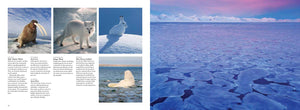 Arctic Circle North Pole Nature Coffee Table Book Art Photography Photos