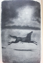 Load image into Gallery viewer, A Study in Scarlet The Hound of the Baskervilles Sherlock Holmes Illustrated BK
