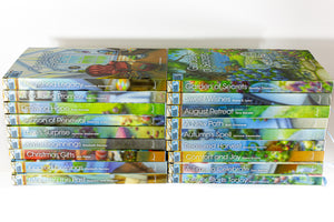 Annie's Fiction The Inn At Magnolia Harbor Novel Series Lot 18 Books 6-24